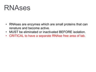 doees autoclaves kill rnases|can rnase be inactivated.